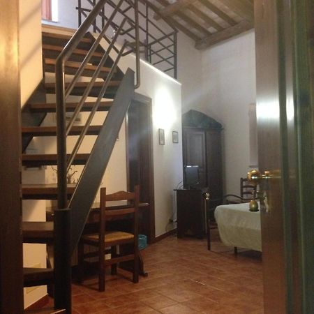 Agriturismo Collepina Amelia Buitenkant foto