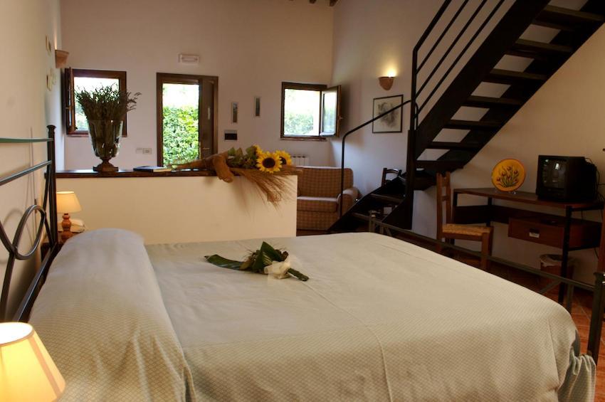 Agriturismo Collepina Amelia Kamer foto