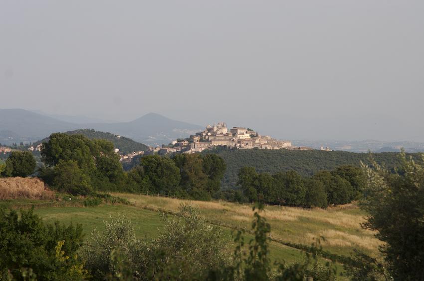 Agriturismo Collepina Amelia Buitenkant foto