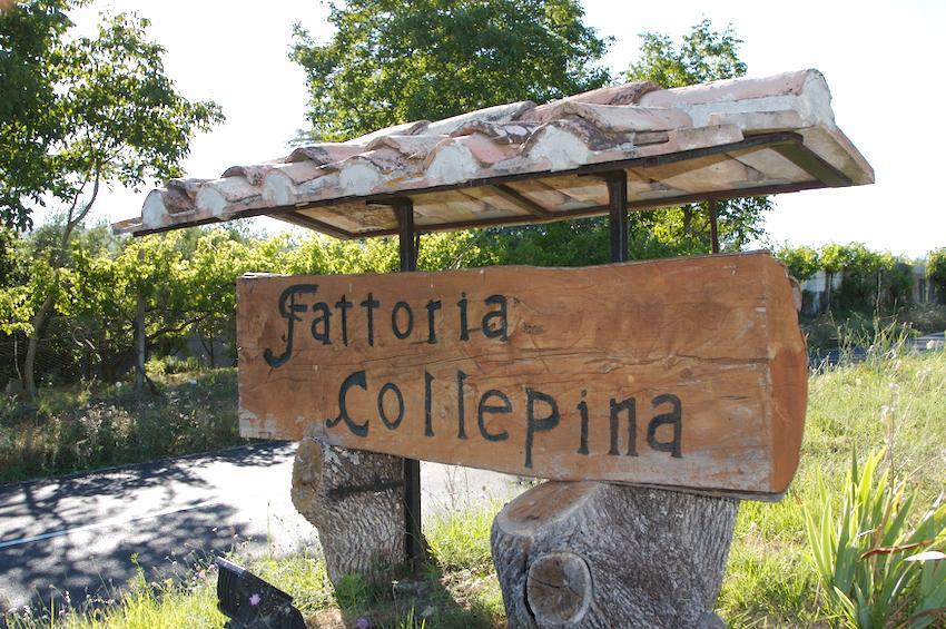 Agriturismo Collepina Amelia Buitenkant foto