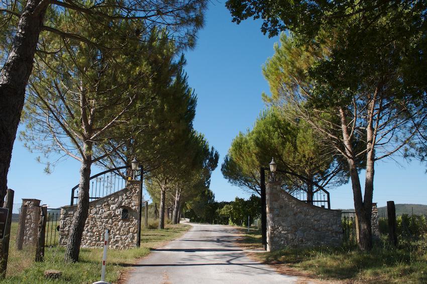 Agriturismo Collepina Amelia Buitenkant foto