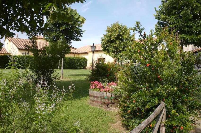 Agriturismo Collepina Amelia Buitenkant foto