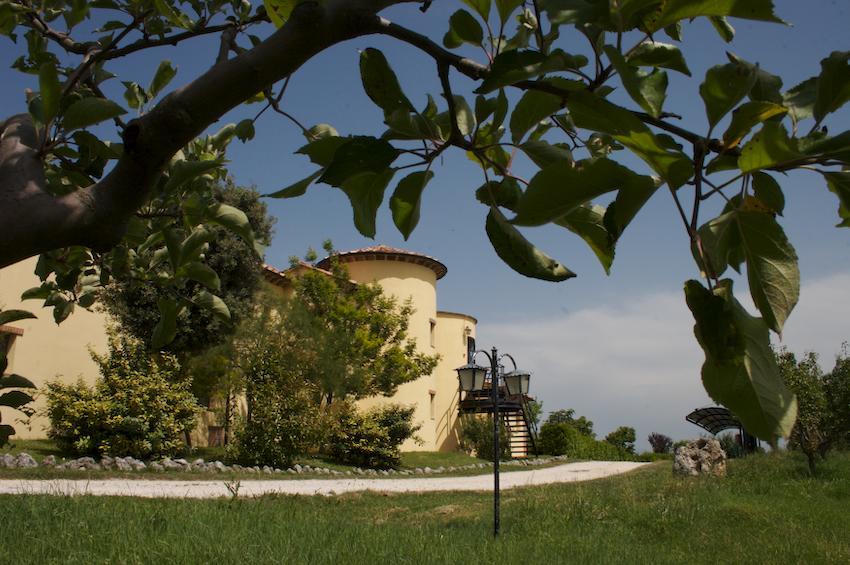Agriturismo Collepina Amelia Buitenkant foto