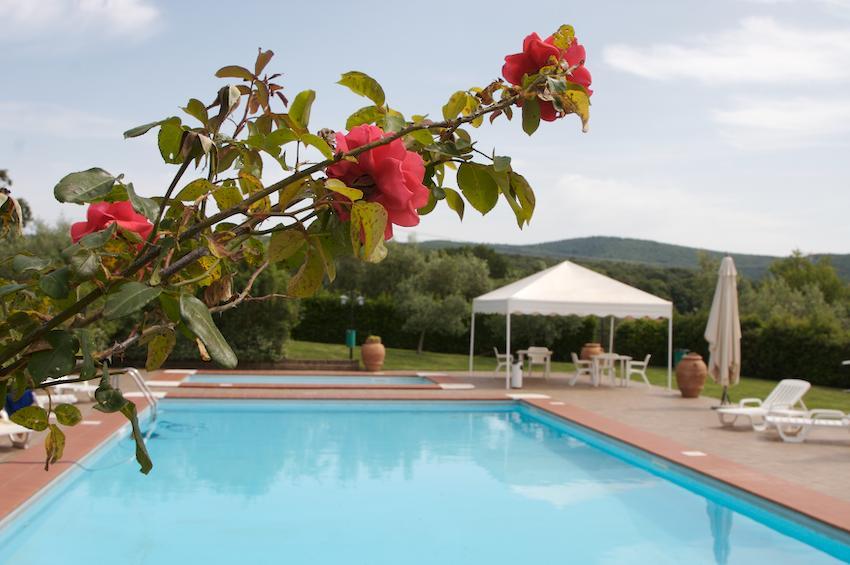 Agriturismo Collepina Amelia Buitenkant foto