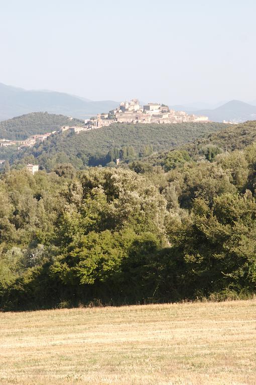 Agriturismo Collepina Amelia Buitenkant foto