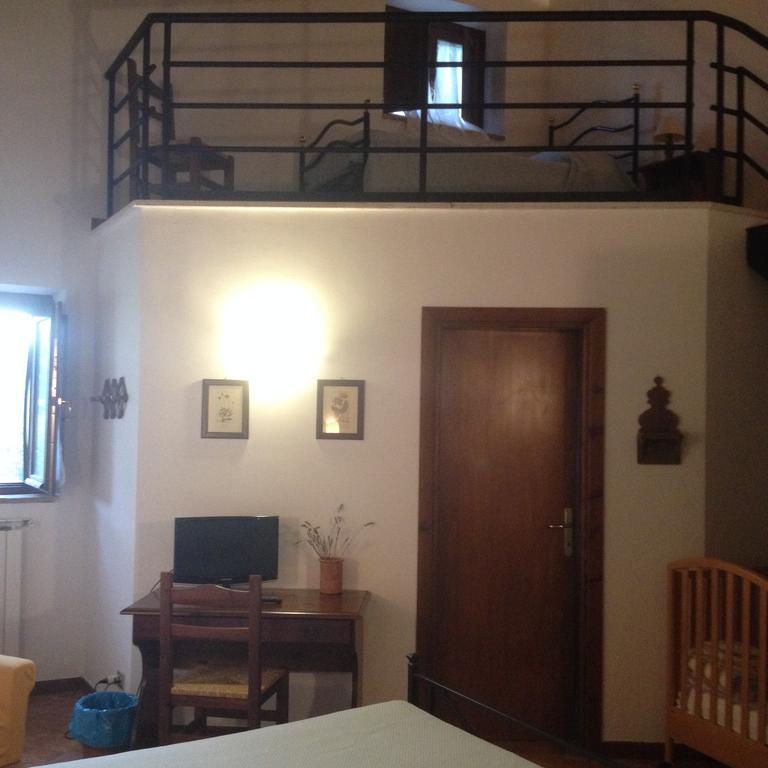 Agriturismo Collepina Amelia Buitenkant foto